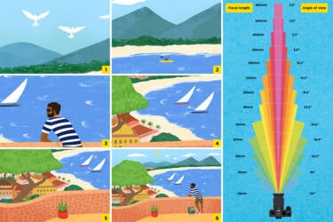 Nikon magazine - cheat sheets focal length